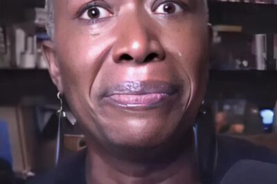 Joy Reid lost her temper and broke her silence after being mercilessly fired by MSNBC in first interview, but when she revealed the reason, no one had any doubts.