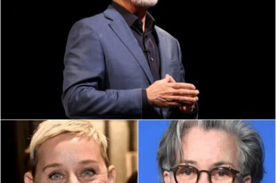 Stephen Colbert says he understands why Rosie O’Donnell and Ellen DeGeneres left the United States—and now he’s considering doing the same after being fired