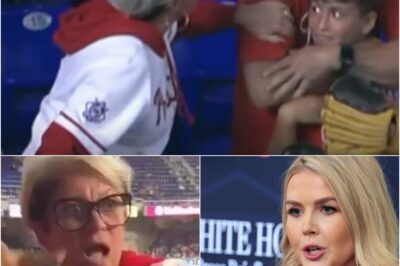 She Wanted the Ball — But Ended Up Losing Her Reputation: The Viral Phillies Clip That Sparked a National Debate on Decency
